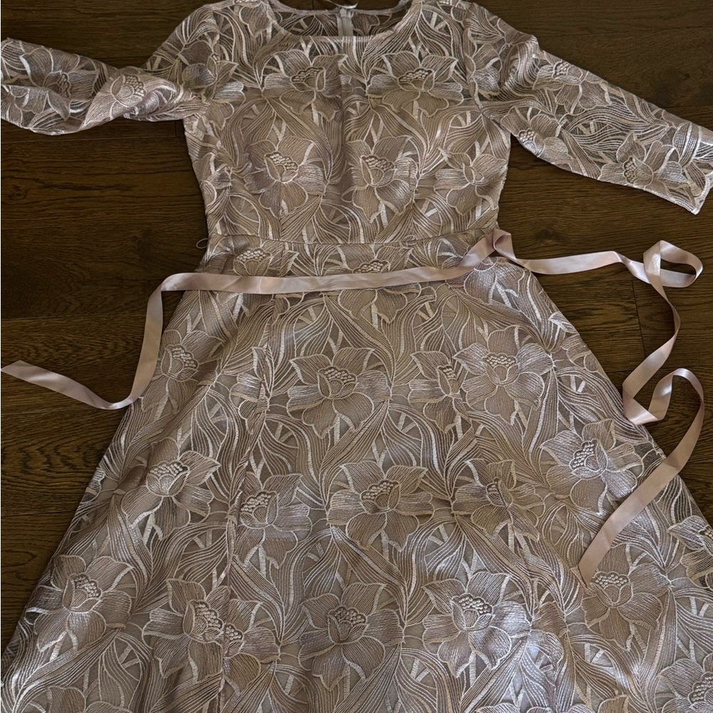 Alex Evenings Champagne Lace Dress